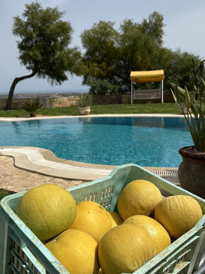 Image Domaine