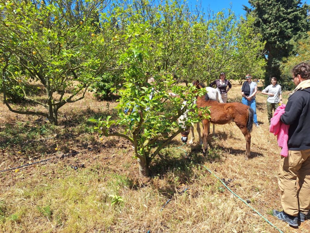 L'Espace des Animaux